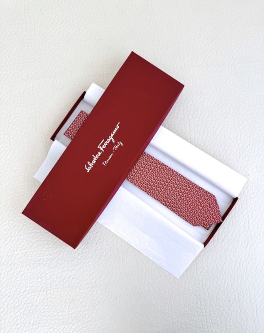 Salavatore Ferragamo Silk Tie