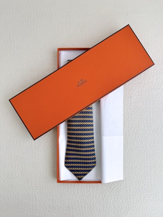 Hermès Silk Tie with box