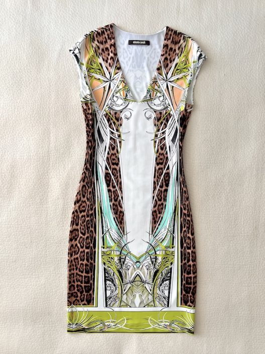 Roberto Cavalli Animal Print Sleeveless Dress