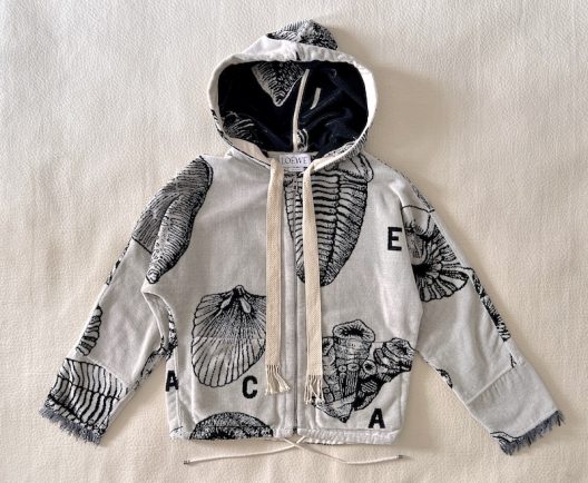 Loewe Paula’s Ibiza Hooded Cotton‑Terry Jacket with Seashell Jacquard Print